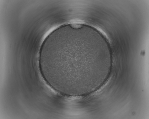 X0000091211325200708091339