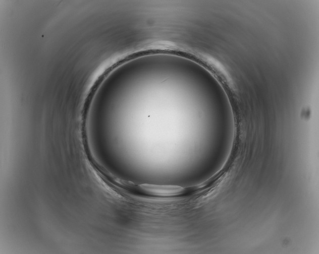 X0000091211326200708091339