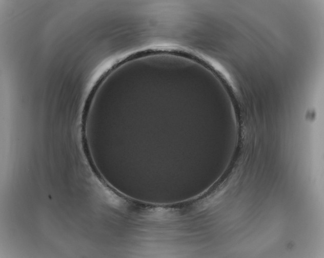 X0000091211327200708091339