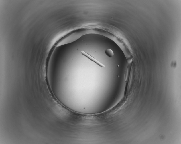 X0000091211328200708091339
