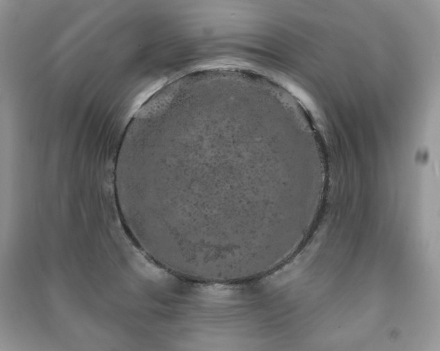 X0000091211329200708091339
