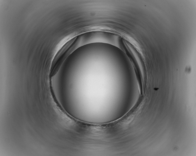 X0000091211330200708091339