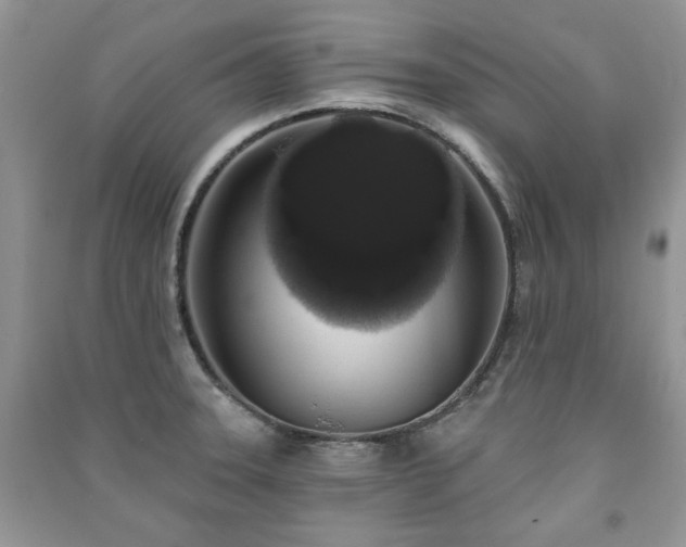 X0000091211331200708091339