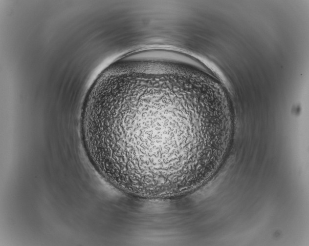 X0000091211333200708091339