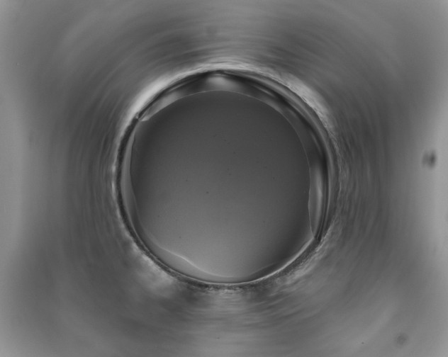 X0000091211334200708091339