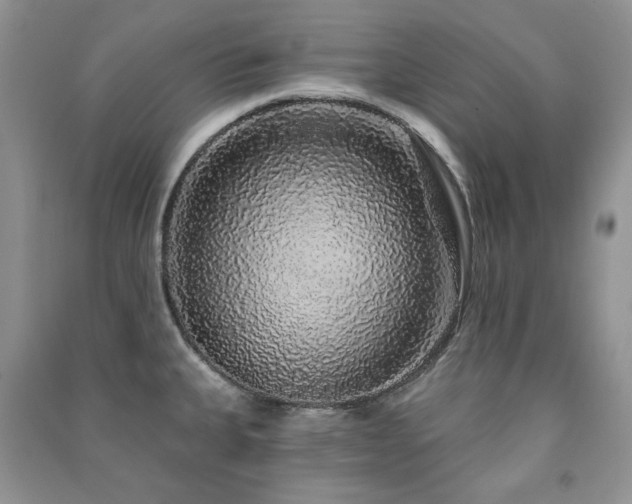 X0000091211335200708091339
