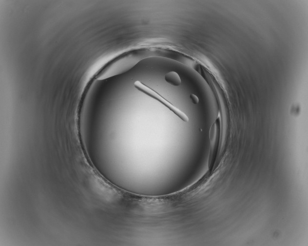 X0000091211336200708091339