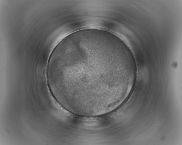 X0000091211338200708091339
