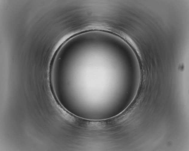 X0000091211339200708091339