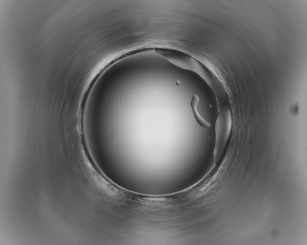 X0000091211342200708091339