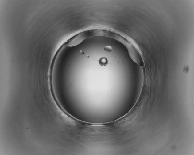 X0000091211343200708091339
