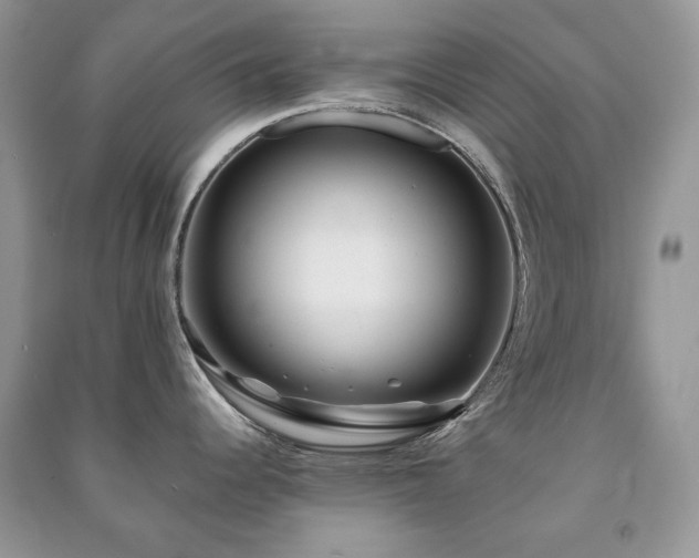 X0000091211344200708091339