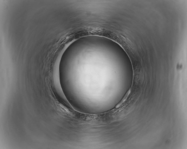 X0000091211345200708091339