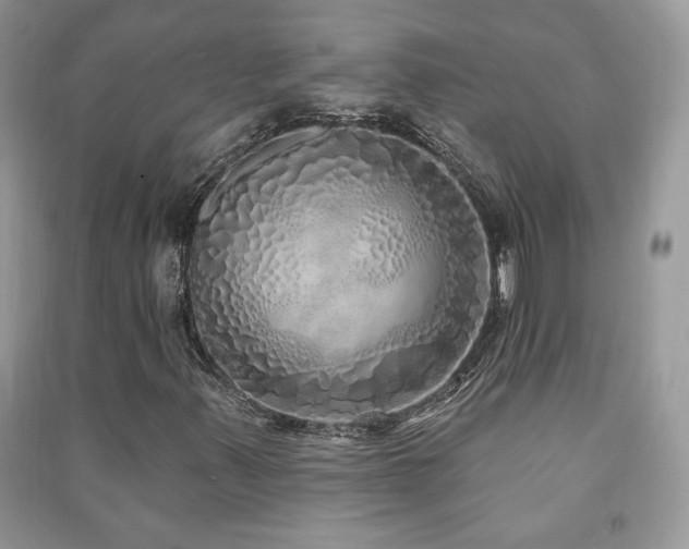 X0000091211347200708091339