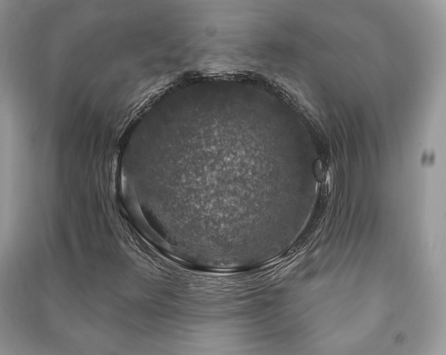 X0000091211348200708091339