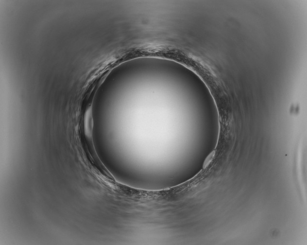 X0000091211349200708091339