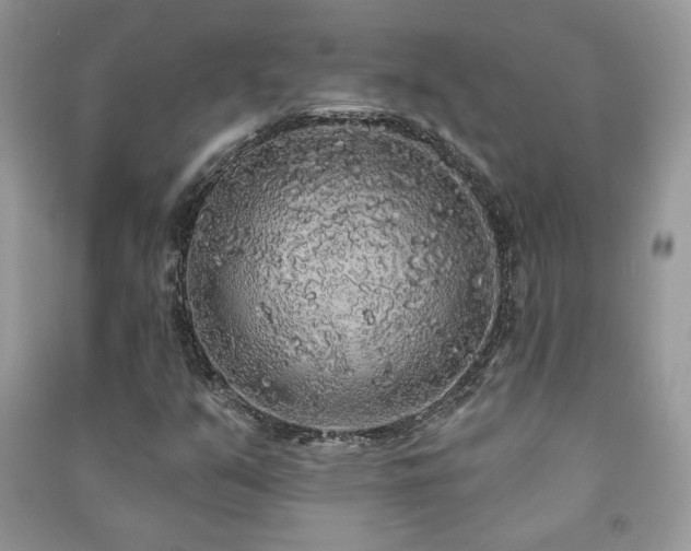 X0000091211351200708091339
