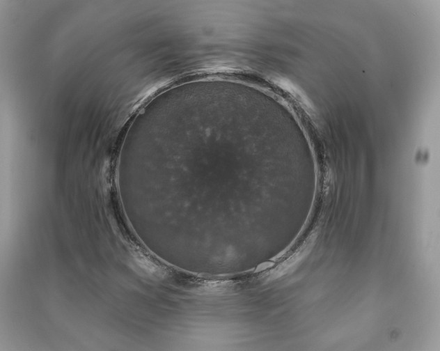 X0000091211353200708091339