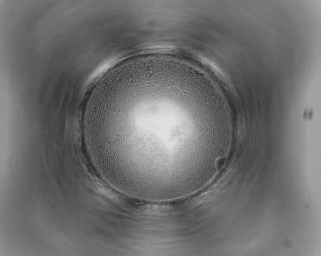 X0000091211354200708091339