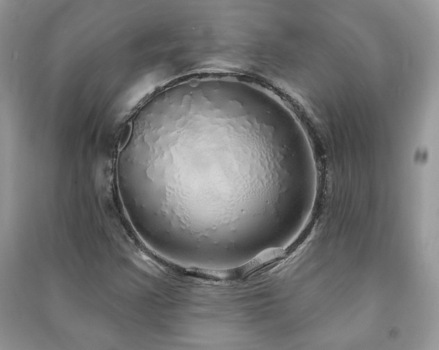 X0000091211355200708091339