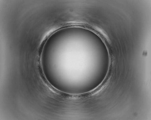 X0000091211357200708091339