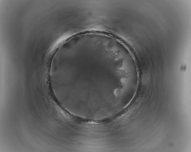 X0000091211359200708091339