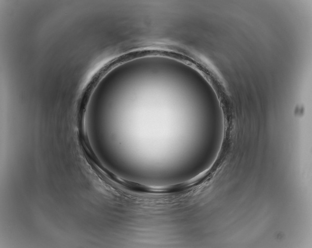 X0000091211360200708091339