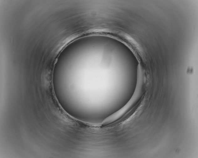 X0000091211361200708091339