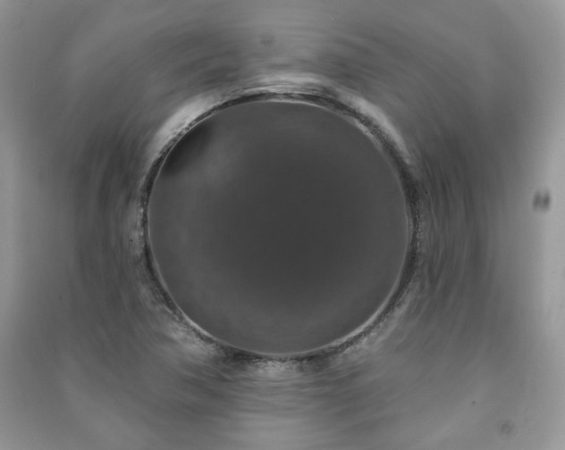 X0000091211362200708091339
