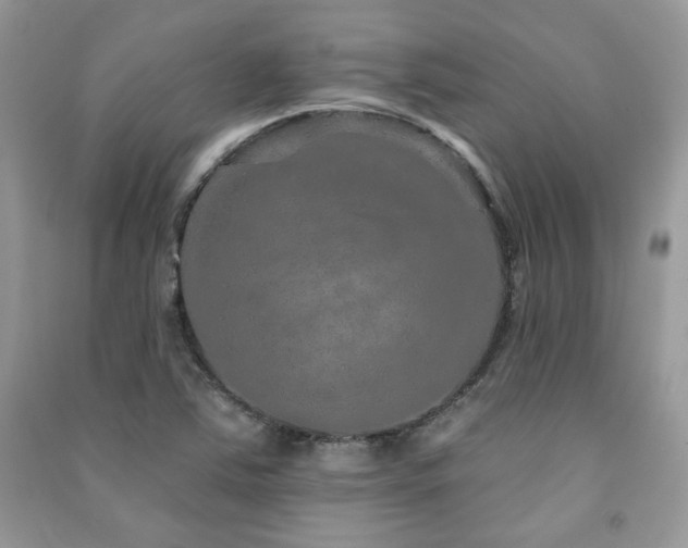 X0000091211363200708091339