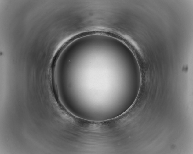X0000091211364200708091339
