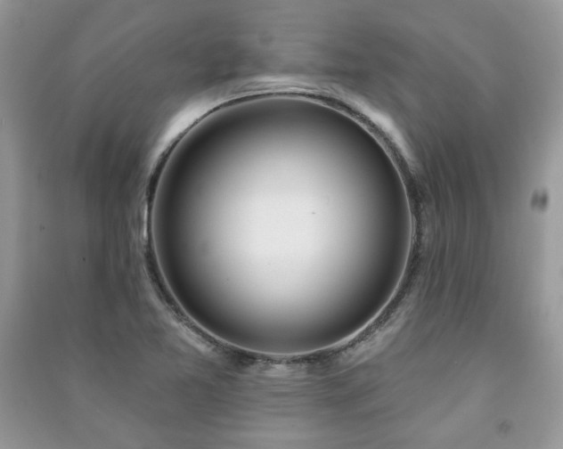 X0000091211365200708091339