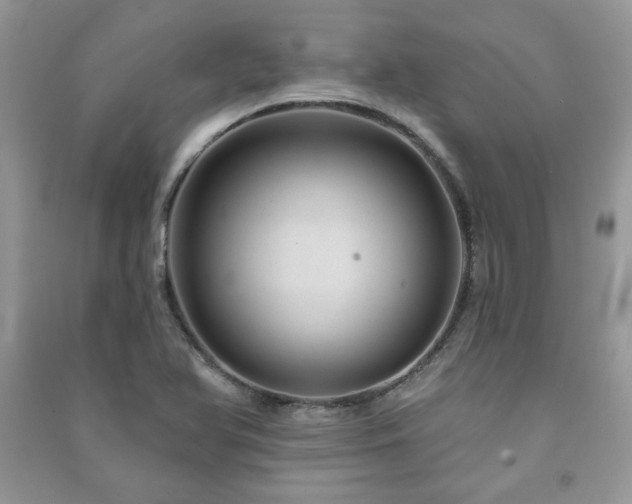X0000091211366200708091339