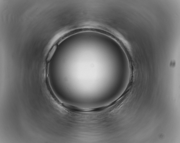 X0000091211368200708091339