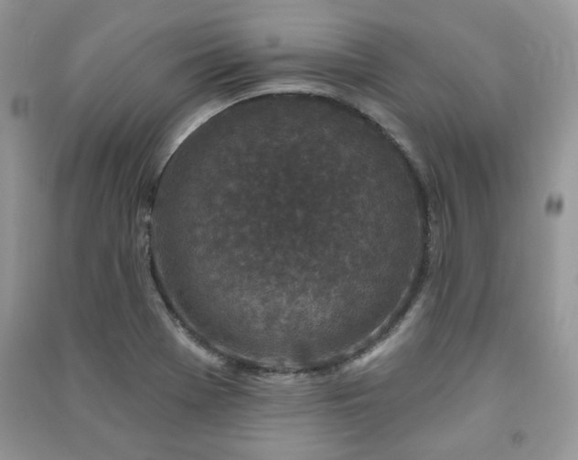 X0000091211369200708091339