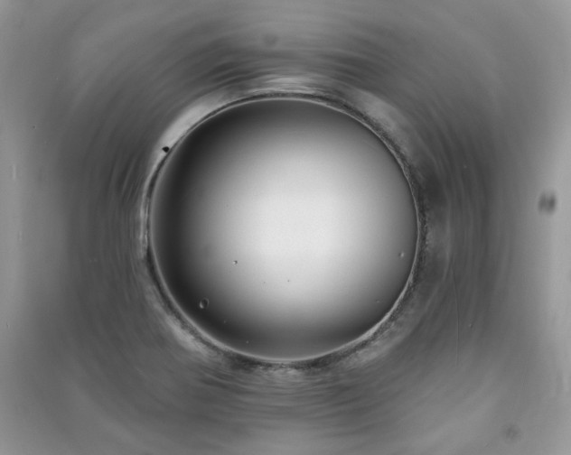 X0000091211370200708091339
