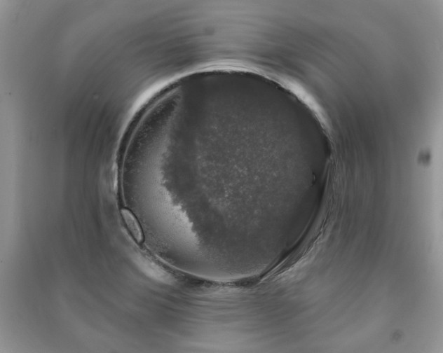X0000091211372200708091339