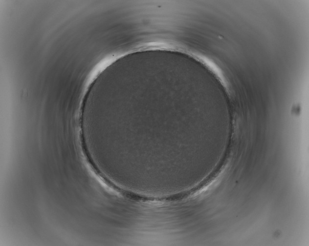 X0000091211373200708091339