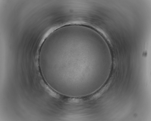 X0000091211374200708091339