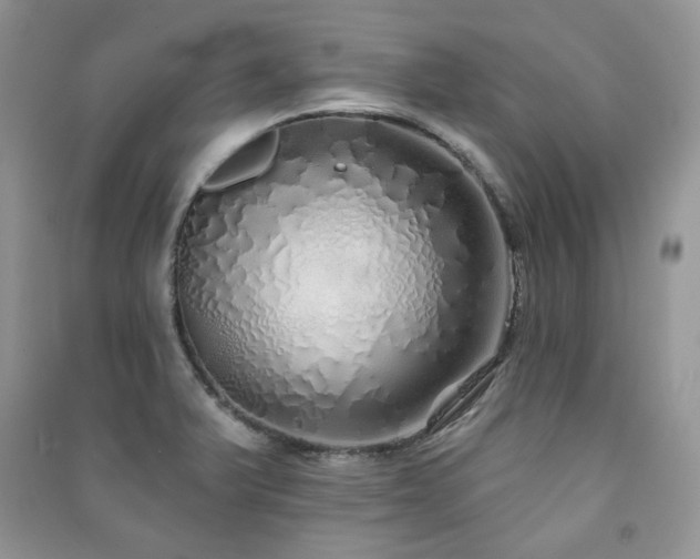 X0000091211375200708091339