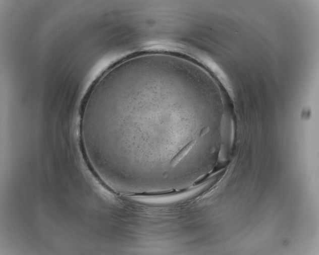 X0000091211376200708091339