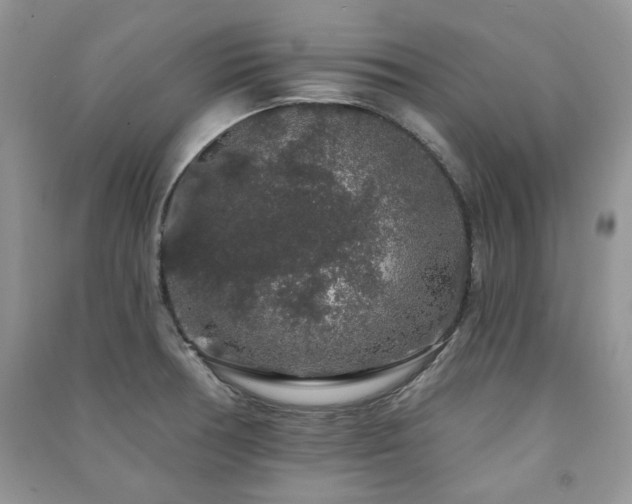 X0000091211378200708091338