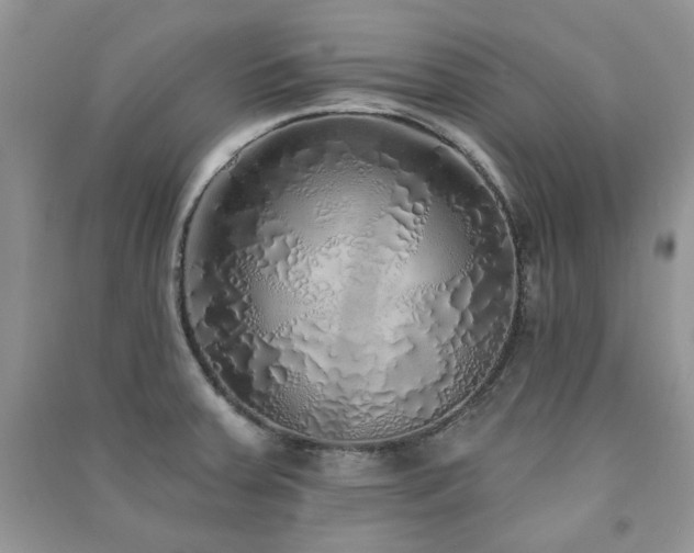 X0000091211379200708091338