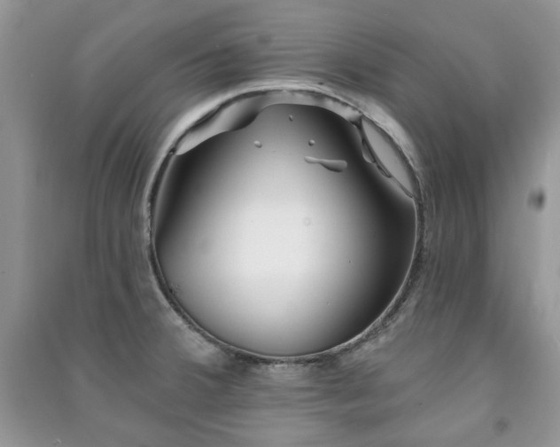 X0000091211380200708091338