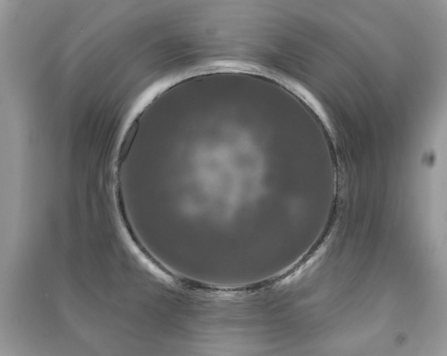 X0000091211381200708091338