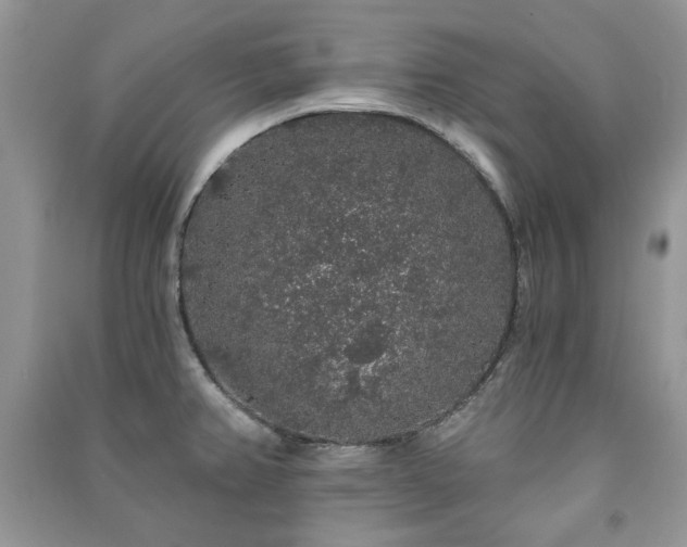 X0000091211382200708091338