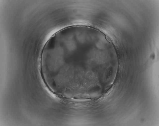 X0000091211383200708091338