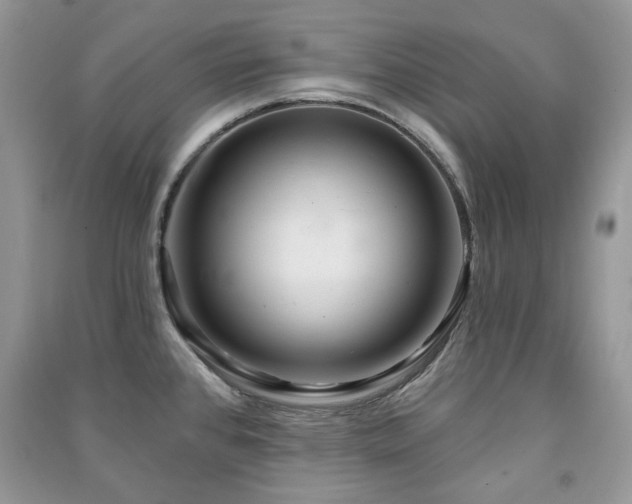 X0000091211384200708091338