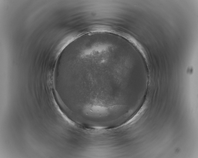 X0000091211385200708091338