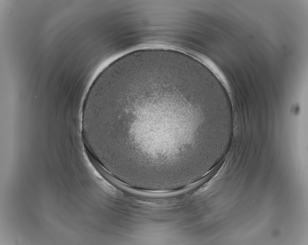 X0000091211388200708091338